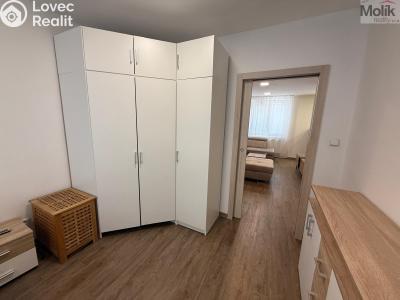 Rent apartment 3+1 Litvínov, Vinohradská 969 č. 9