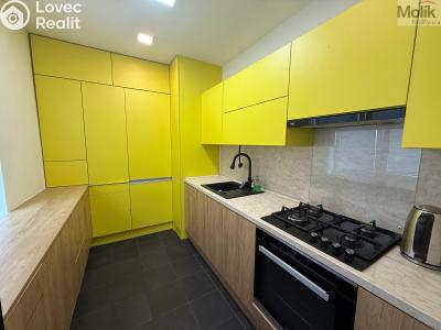 Rent apartment 3+1 Litvínov, Vinohradská 969 č. 12