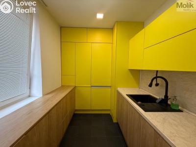 Rent apartment 3+1 Litvínov, Vinohradská 969 č. 13