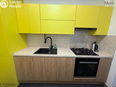 Rent apartment 3+1 Litvínov, Vinohradská 969 č. 15