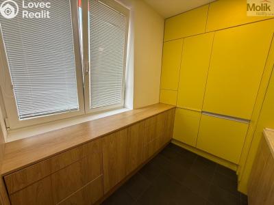 Rent apartment 3+1 Litvínov, Vinohradská 969 č. 16