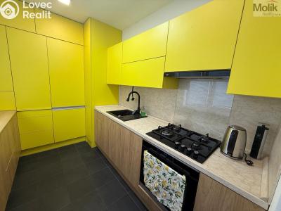 Rent apartment 3+1 Litvínov, Vinohradská 969 č. 17