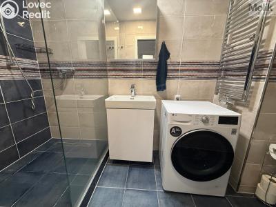 Rent apartment 3+1 Litvínov, Vinohradská 969 č. 18