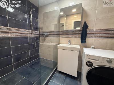 Rent apartment 3+1 Litvínov, Vinohradská 969 č. 19