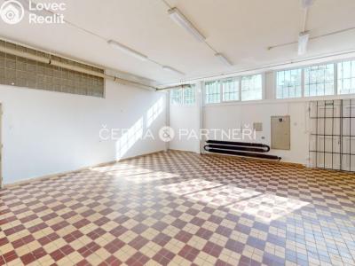 Rent commercial space Teplice, Duchcovská č. 10
