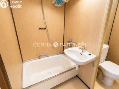 Rent apartment 1+KK Most, Pod Šibeníkem č. 3