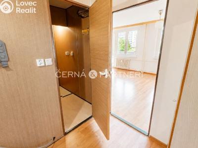 Rent apartment 1+KK Most, Pod Šibeníkem č. 4