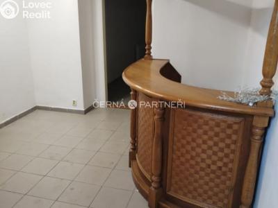 Rent commercial properties Teplice, Duchcovská č. 3