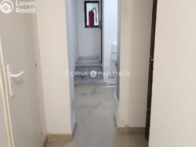 Rent commercial properties Teplice, Duchcovská č. 7