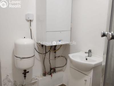 Rent commercial properties Teplice, Duchcovská č. 8
