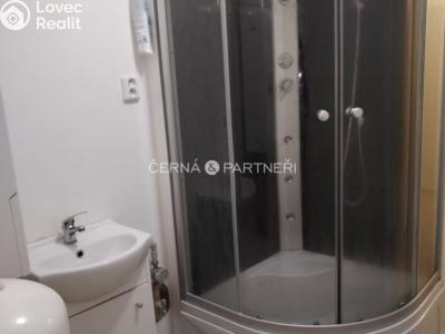 Rent commercial properties Teplice, Duchcovská č. 9