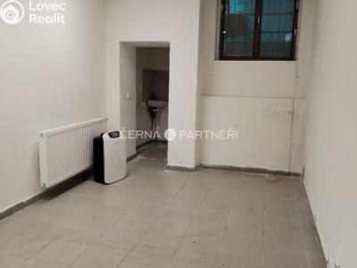 Rent commercial properties Teplice, Duchcovská č. 11