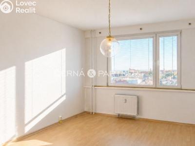 Pronájem bytu 3+1 Chomutov, Palackého 4085 č. 4