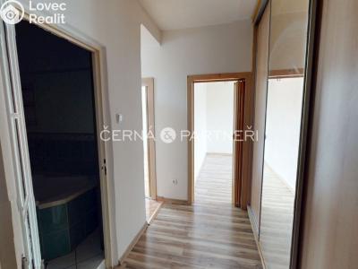 Rent apartment 2+1 Most, Jaroslava Vrchlického č. 7