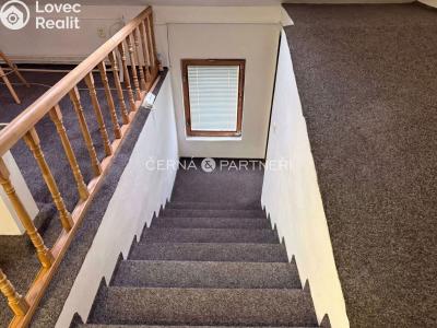 Rent commercial properties Teplice, Modlanská č. 1