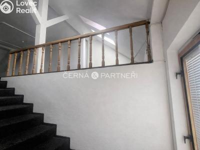 Rent commercial properties Teplice, Modlanská č. 2