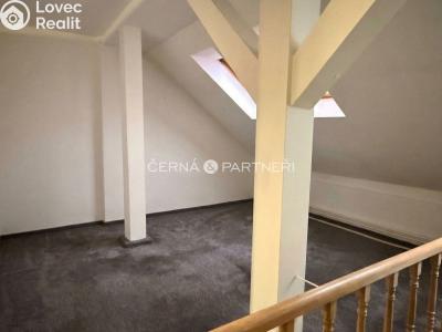 Rent commercial properties Teplice, Modlanská č. 3