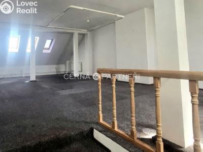 Rent commercial properties Teplice, Modlanská č. 4