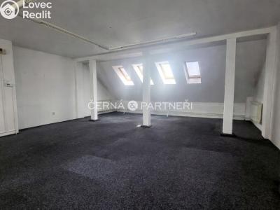 Rent commercial properties Teplice, Modlanská č. 5