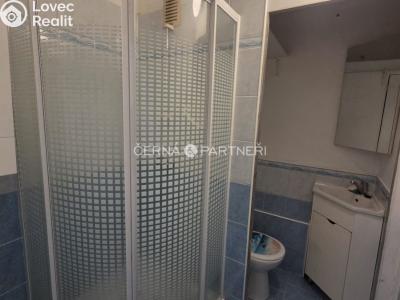 Rent apartment 1+1 Bílina, Sídliště Za Chlumem č. 10