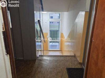 Rent apartment 1+1 Bílina, Sídliště Za Chlumem č. 11
