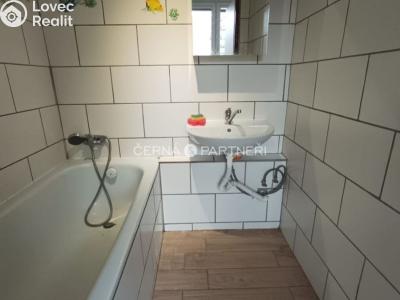 Rent apartment 2+1 Chomutov, Dřínovská 4742 č. 11