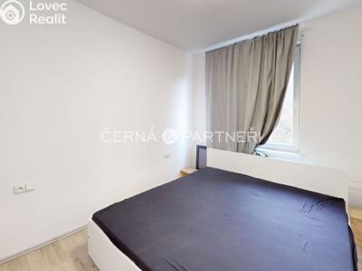 Rent apartment 4+1 Ústí nad Labem, Dr. Horákové č. 10