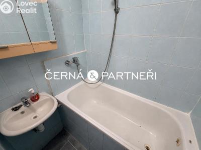 Rent apartment 2+1 Most, Hutnická č. 2
