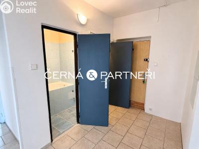 Rent apartment 2+1 Most, Hutnická č. 4