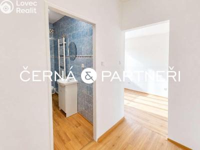 Rent apartment 2+1 Ústí nad Labem, Zeyerova č. 3