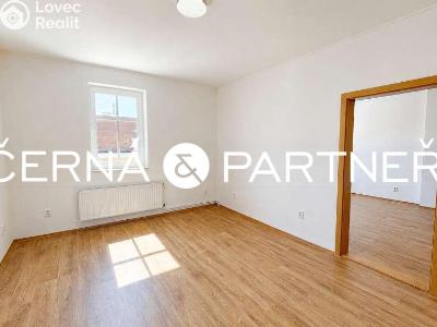Rent apartment 2+1 Ústí nad Labem, Zeyerova č. 4