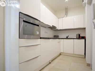 Продаж квартири 1+1 Praha, Kotlaska č. 4