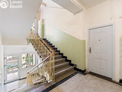 Продаж квартири 1+1 Praha, Kotlaska č. 6