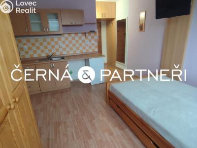 Rent apartment 1+KK Kraslice, B. Smetany 1748 č. 3