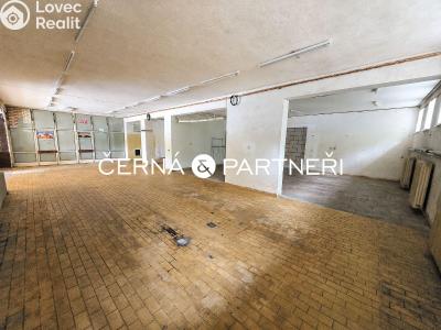 Rent commercial space Dubí č. 3