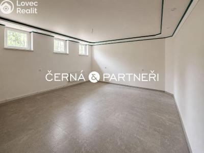 Rent commercial space Dubí č. 5
