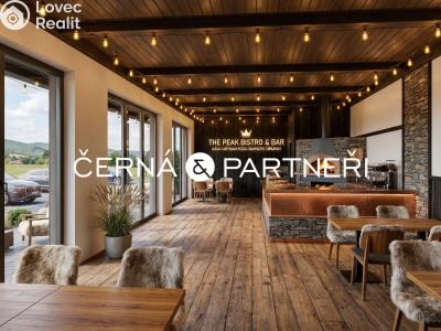 Rent commercial space Dubí č. 7