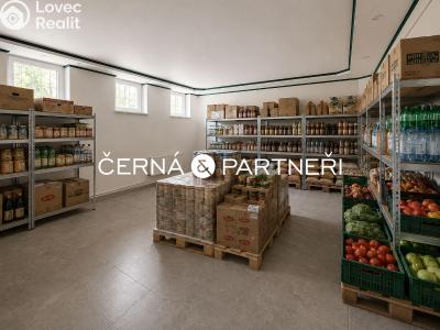 Rent commercial space Dubí č. 9