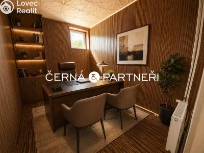 Rent commercial space Dubí č. 10