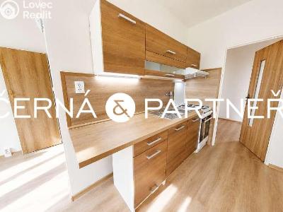 Rent apartment 3+1 Ústí nad Labem, Jizerská č. 1