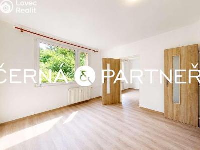 Rent apartment 3+1 Ústí nad Labem, Jizerská č. 2