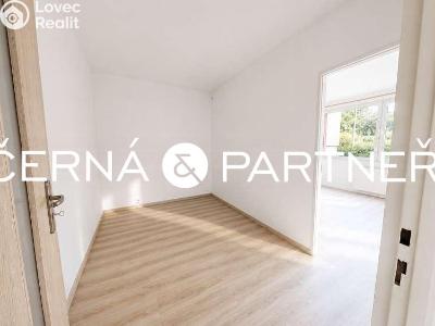 Rent apartment 3+1 Ústí nad Labem, Jizerská č. 4