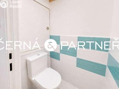 Rent apartment 3+1 Ústí nad Labem, Jizerská č. 7