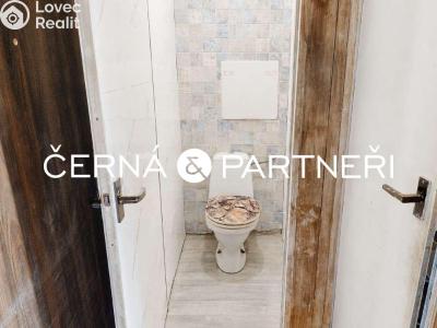 Rent apartment 2+1 Bílina, Bezejmenná 256 č. 5