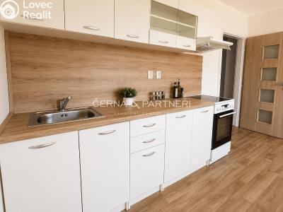 Rent apartment 2+1 Bílina, Sídliště SHD č. 1