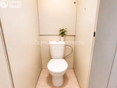 Prodej bytu 1+1 Bílina, Aléská 255 č. 5