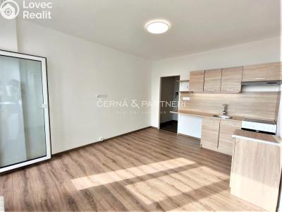 Аренда квартиры 1+KK Chomutov, Seifertova 4164 č. 7