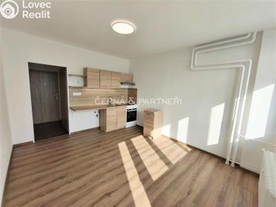 Аренда квартиры 1+KK Chomutov, Seifertova 4164 č. 2