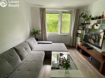 Rent apartment 2+1 Bojkovice, Mánesova II č. 1