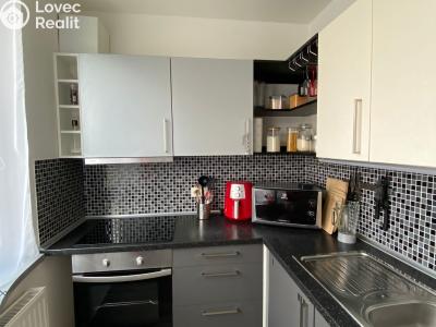 Rent apartment 2+1 Bojkovice, Mánesova II č. 2